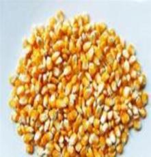 智能化糧食收購方案助力現代農業高效運營